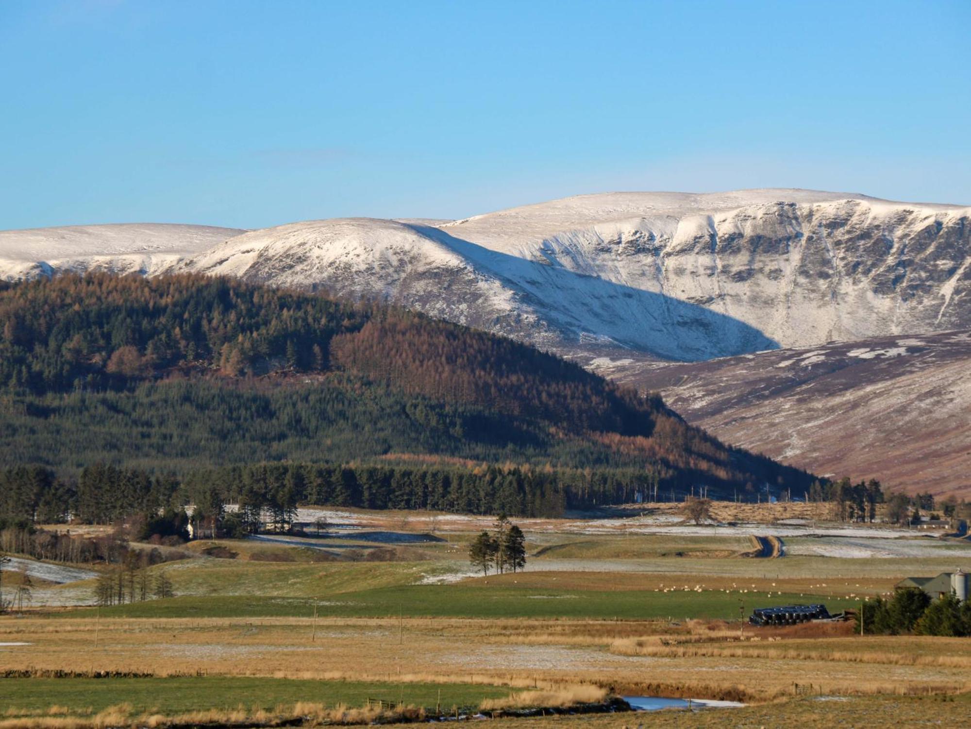 The Bothy Villa Kirriemuir Kültér fotó